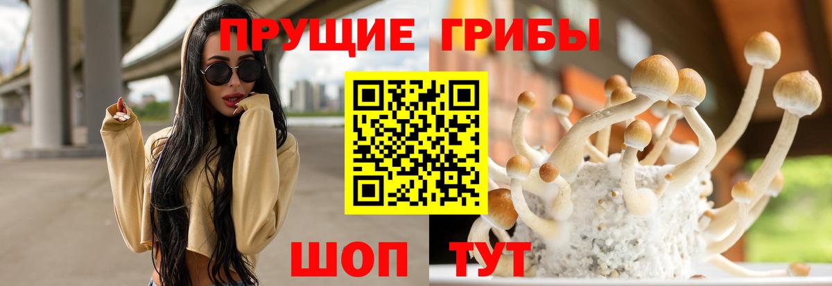 Псилоцибиновые грибы Magic Shrooms  Галлюциногенные грибы мицелий  Вход с VPN  Жигулёвск 